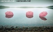 sateenvarjot