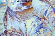 varien-ja-muotojen-leikkia