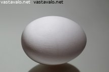 kananmuna