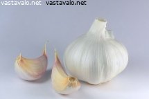 valkosipuli