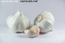 valkosipuli