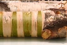 vihreaa-ja-vaaleaa