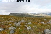 tunturimaisema-mallan-luonnonpuistosta