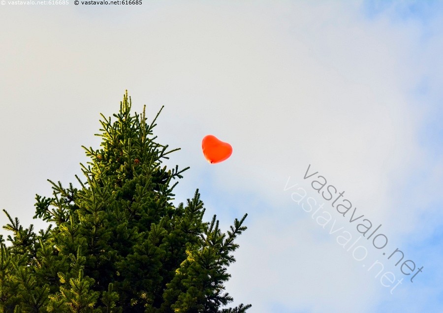 Yksinäinen sydän dating site