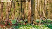 kevainen-pyoraretki