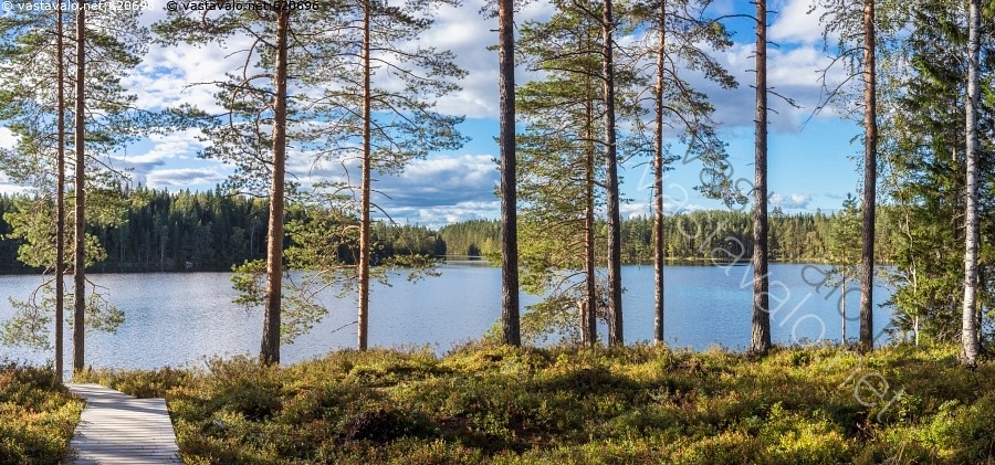 Kuva Kes inen J rvenrantamaisema J rvenranta J rvi J rvimaisema kuva-kes-inen-j-rvenrantamaisema-j-rvenranta-j-rvi-j-rvimaisema