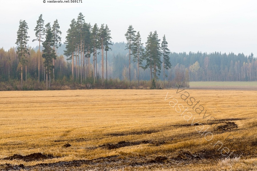 Kuva Syksyinen Pelto Peltomaisema Syysmaisema Syystunnelma kuva-syksyinen-pelto-peltomaisema-syysmaisema-syystunnelma