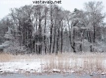 lauttasaari