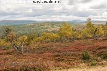 pilvinen-ruskapaiva