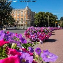 ehrenstromintie