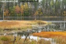 sallan-ruskaa