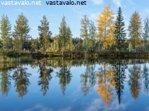 puiden-heijastuminen-veteen