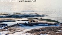 hioutunut-rantakallio