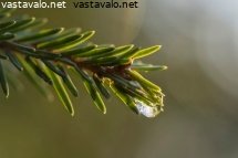 jaatynyt-pisara-havussa