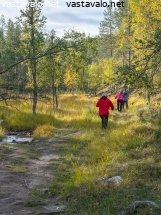 luontopolkua-iisakkipaalle