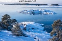 saaristonakoala