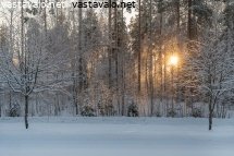 joulupaivan-aurinko