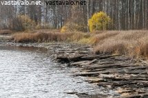 tuhoutunut-joenranta