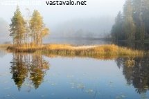 puiden-heijastus-veteen