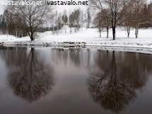 puiden-kuvat