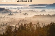 torronsuon-kansallispuisto