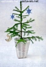 ensimmaisen-adventtisunnuntain-kuusi