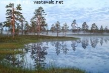 kesayon-heijastuksia