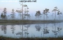 kesayon-heijastuksia