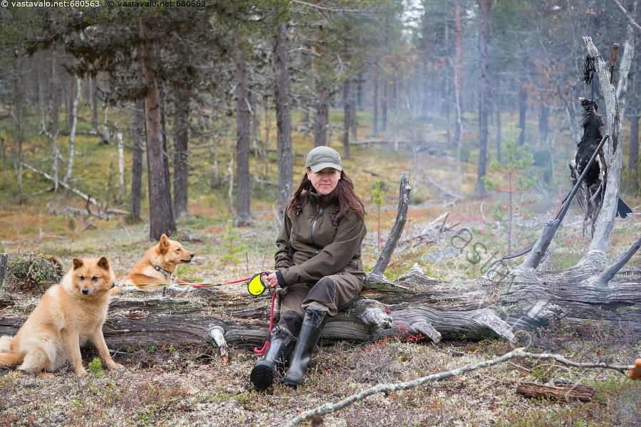 metsästäjä dating siteedut dating psykologi