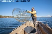kutuahventa-katiskalla