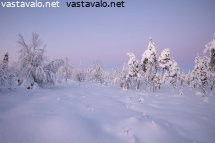 kaamos-suolla