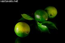 lime