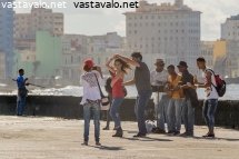 salsan-syketta