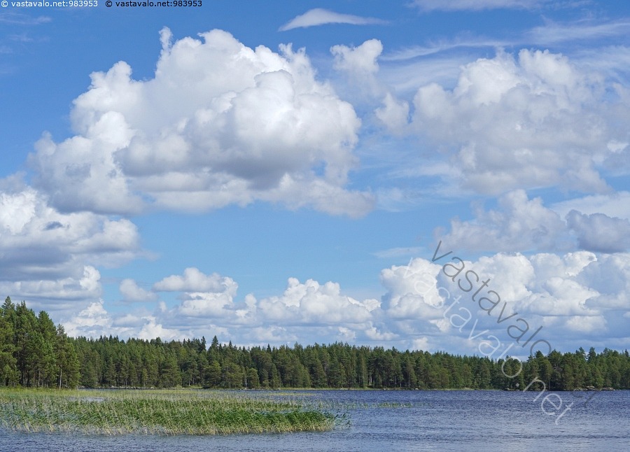 Kuva J rven Kes Pilvi Poutapilvi Kumpupilvi Cumulus Taivas Kes kuva-j-rven-kes-pilvi-poutapilvi-kumpupilvi-cumulus-taivas-kes
