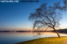 puu-pyhajarven-rannalla