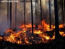 ennallistamispoltto