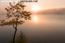 syksyn-sumua
