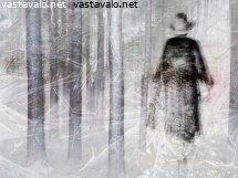 pois-talvesta