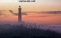 majakka