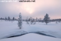pakastaa