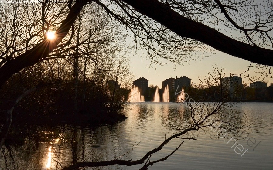 Vapaa pullea äiti suku puoli