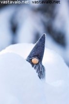 tonttuukko-kurkistaa