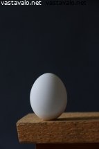 muna