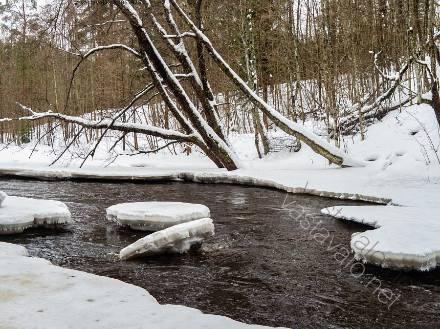 Kuva Talvinen Joki Talvi Virtaava Virtaus Avoin Joki Vantaanjoki kuva-talvinen-joki-talvi-virtaava-virtaus-avoin-joki-vantaanjoki