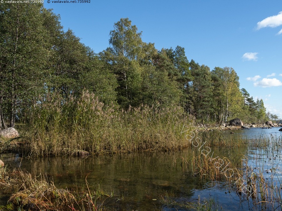 kuva-merenranta-it-meri-suomenlahti-ranta-kivi-kivikko-kaisla