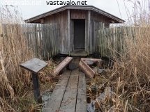 ilkivaltaa