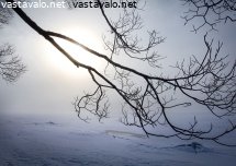 sakeassa-sumussa