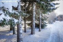 tienlaitaoksien-poistokarsinta