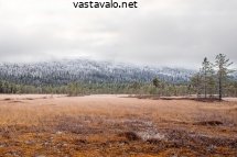 syksyn-ja-talven-rajalla