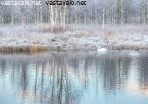 alkutalven-selviytyjat
